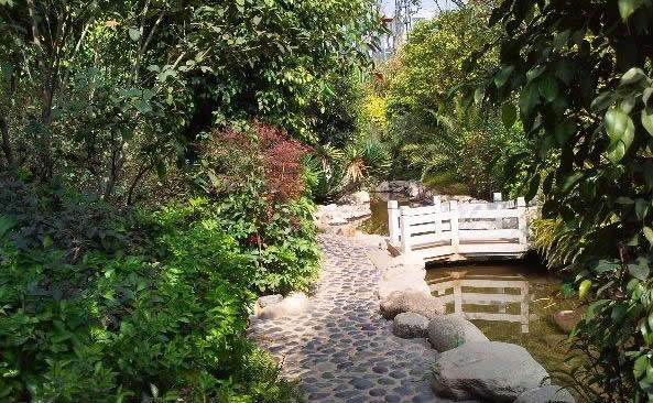 �ݳ�����